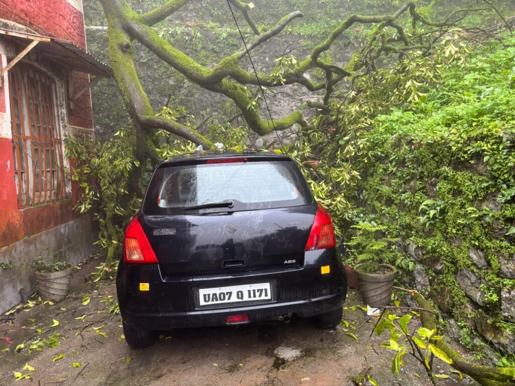 लैंडौर पुलिस चौकी के ऊपर गिरा विशालकाय वृक्ष  पुलिसकर्मी का निजी वाहन हुआ क्षतिग्रस्त